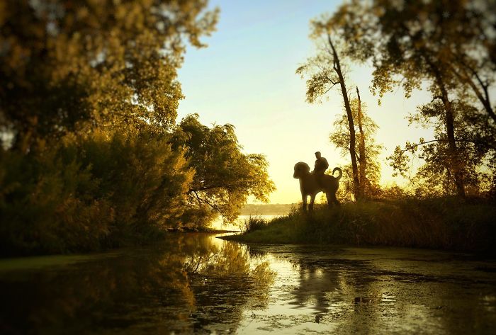 Photographer Makes Funny Montages With Photos Of His Giant Dog (New Pics)