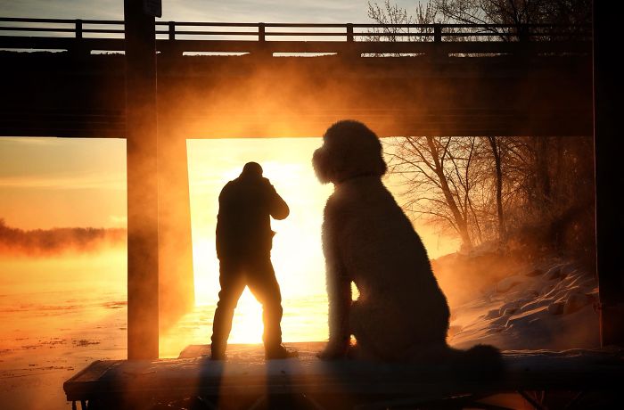 Photographer Makes Funny Montages With Photos Of His Giant Dog (New Pics)