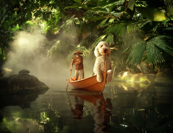 Photographer Makes Funny Montages With Photos Of His Giant Dog (New Pics)