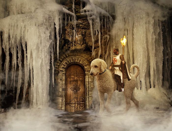 Photographer Makes Funny Montages With Photos Of His Giant Dog (New Pics)