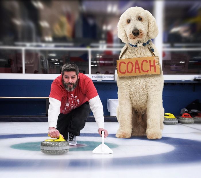 Photographer Makes Funny Montages With Photos Of His Giant Dog (New Pics)