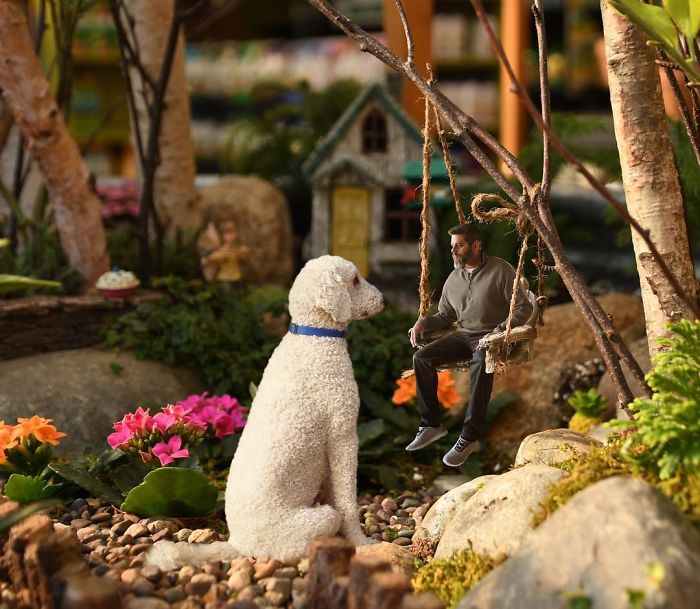 Photographer Makes Funny Montages With Photos Of His Giant Dog (New Pics)