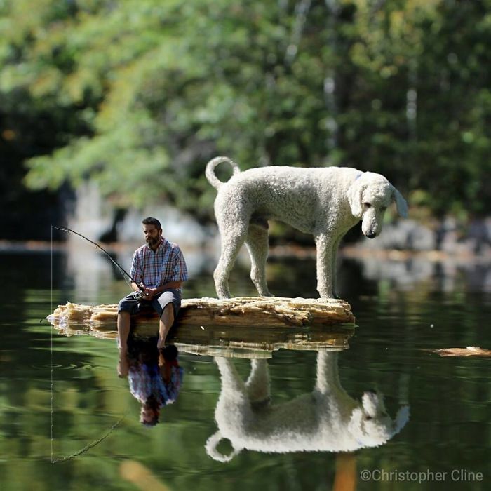 Photographer Makes Funny Montages With Photos Of His Giant Dog (New Pics)