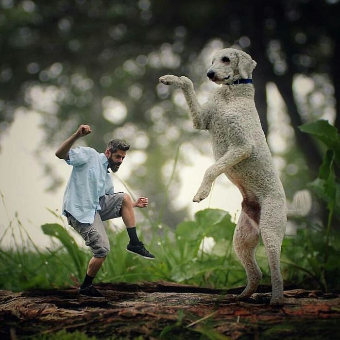 Photographer Makes Funny Montages With Photos Of His Giant Dog (New Pics)
