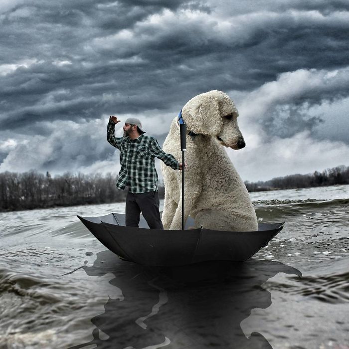Photographer Makes Funny Montages With Photos Of His Giant Dog (New Pics)