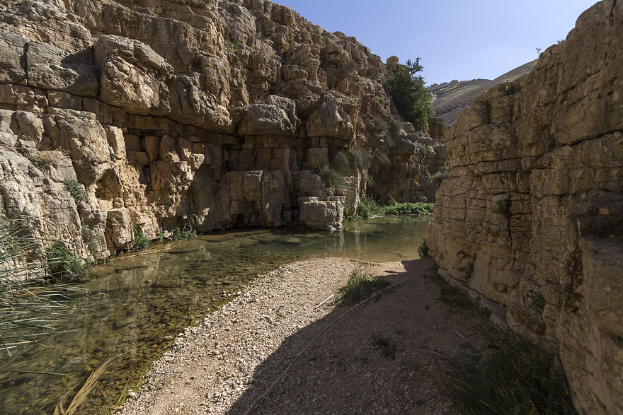 The Unique Desert Landscape