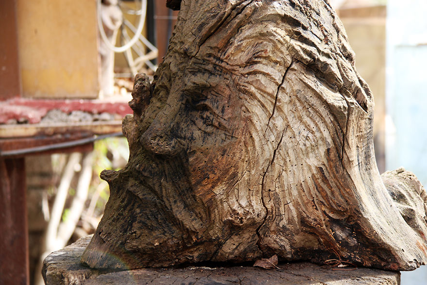 I Photograph The Strangest Museum You've Ever Seen I Photograph The Strangest Museum You've Ever Seen