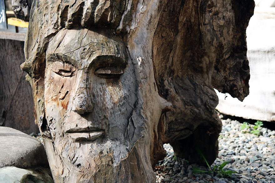 I Photograph The Strangest Museum You've Ever Seen I Photograph The Strangest Museum You've Ever Seen