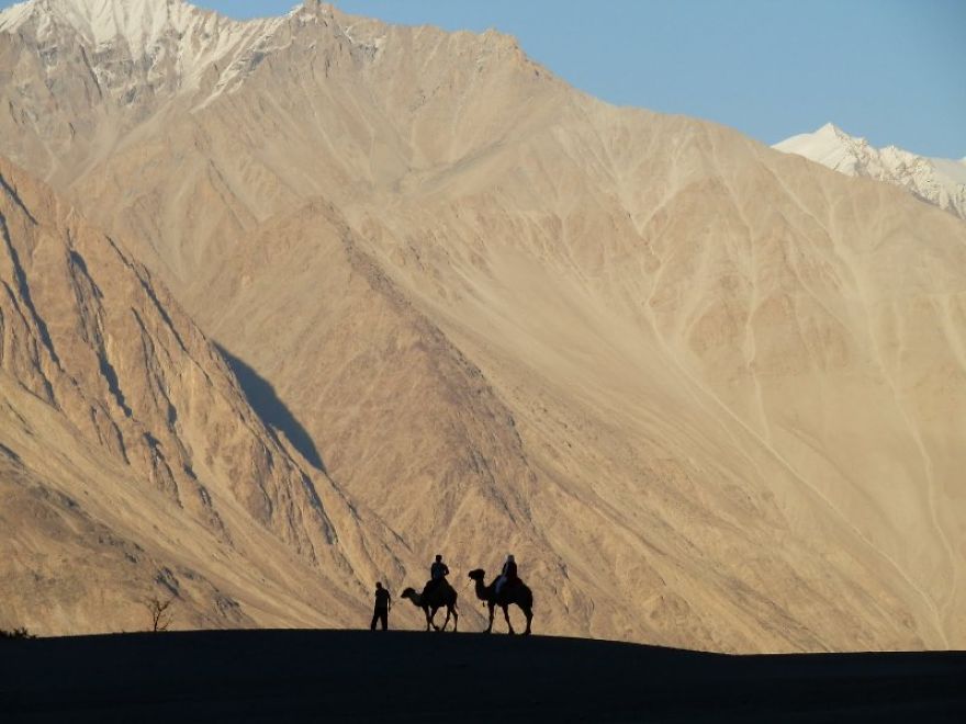 I Photographed The Nubra Valley In Ladakh I Photographed The Nubra Valley In Ladakh