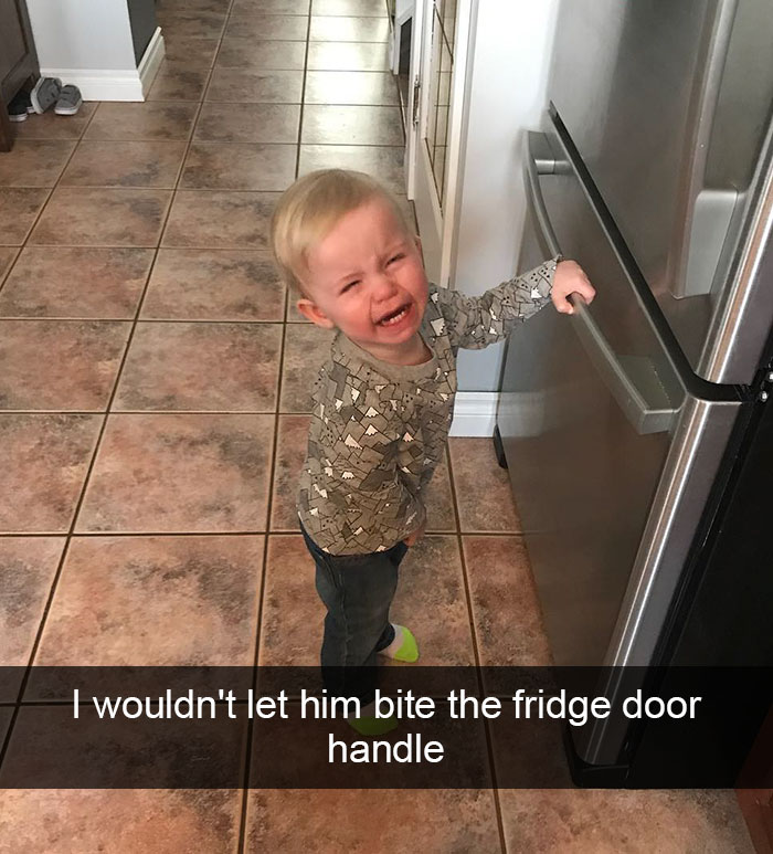 I Wouldn't Let Him Bite The Fridge Door Handle