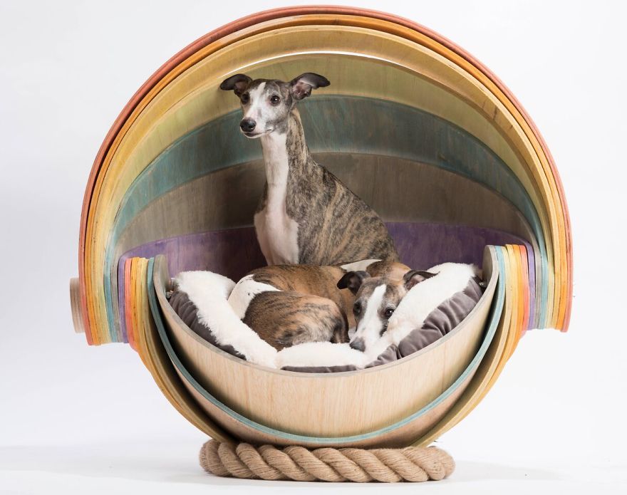 Tla Studio And Louise Glazebrook