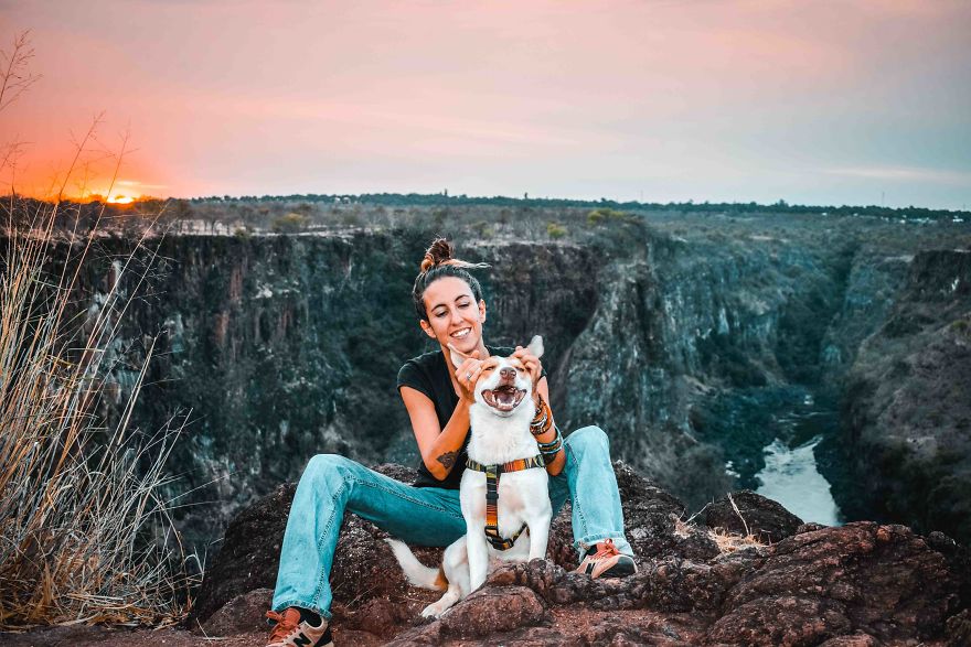 The African Dog That Hasn't Stopped Smiling For A Year