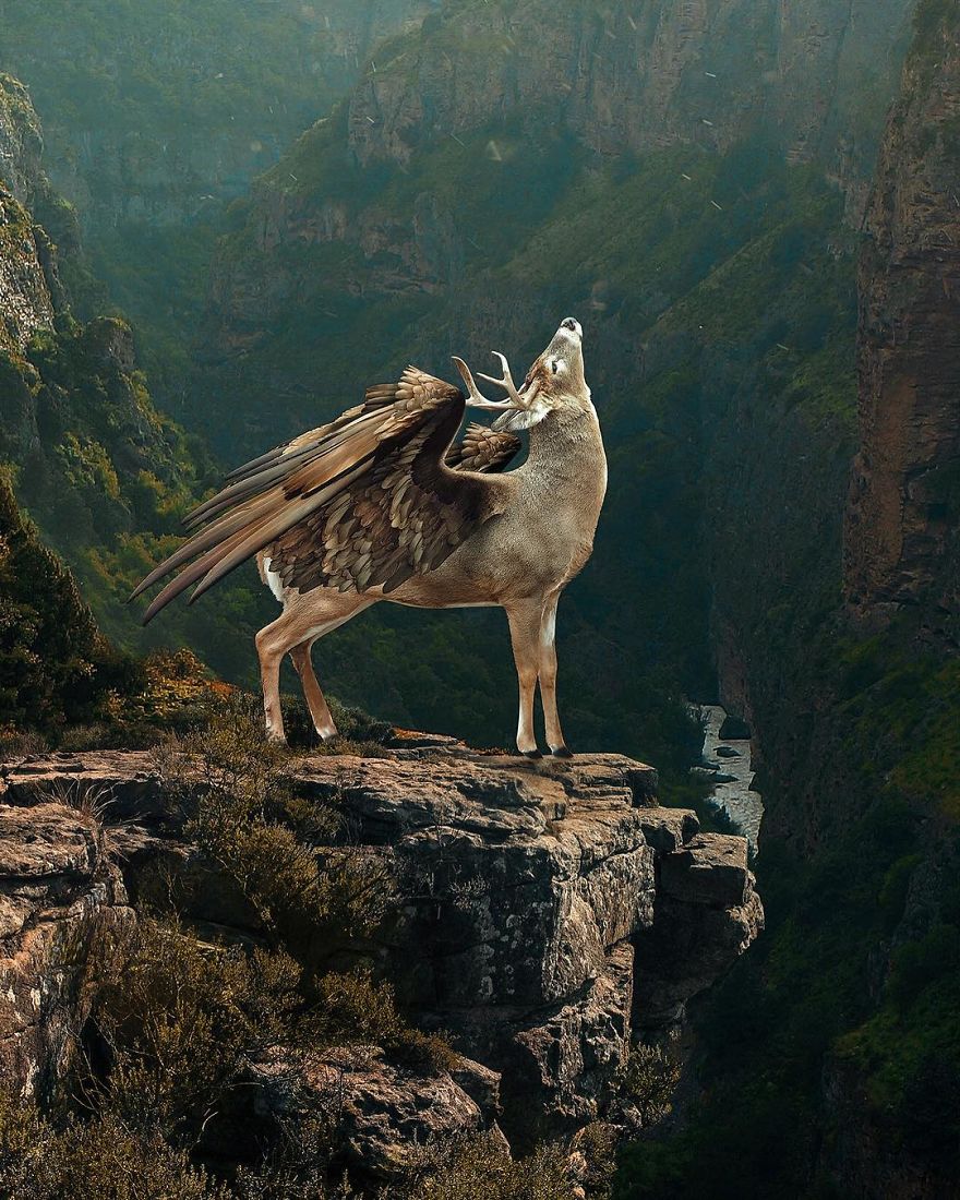 This Turkish Artist Shows The Wonders Of Surreal World