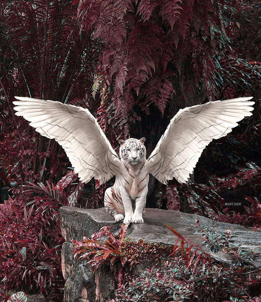 This Turkish Artist Shows The Wonders Of Surreal World