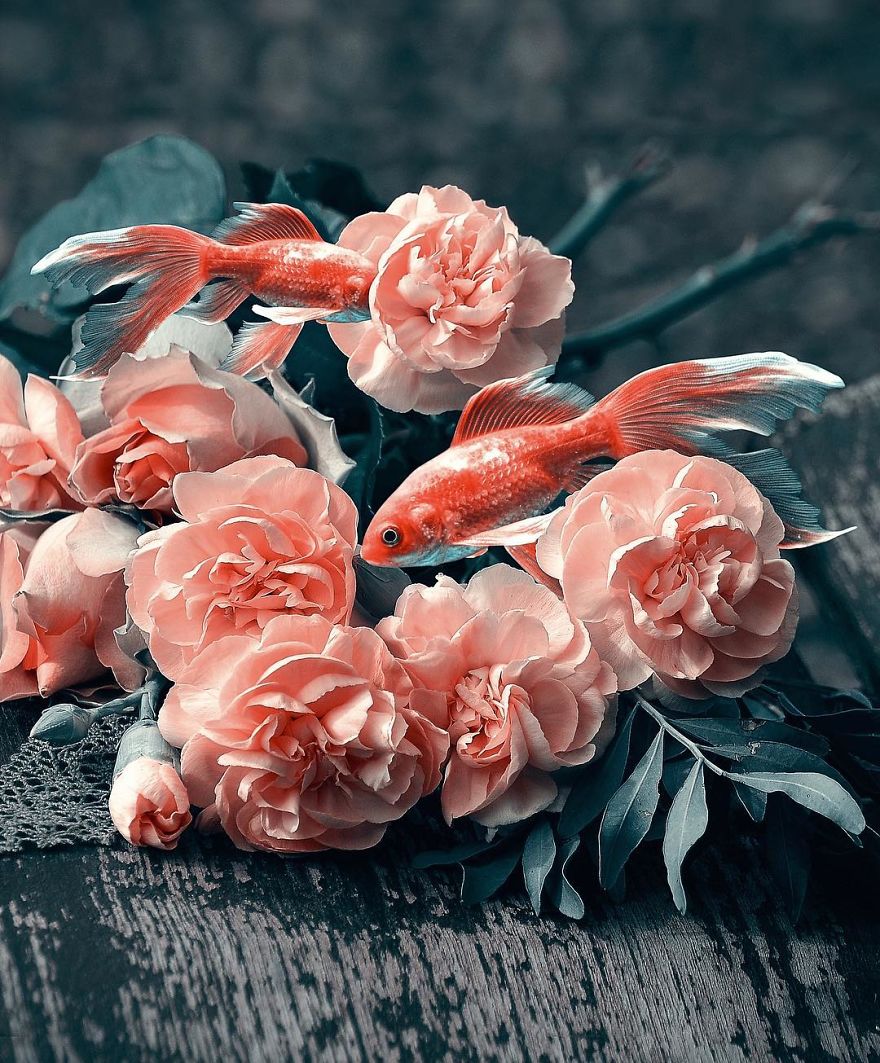 This Turkish Artist Shows The Wonders Of Surreal World