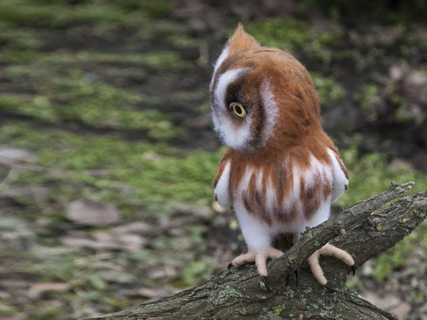 This Owl Never Flies. It Is A Felt Sculpture This Owl Never Flies. It Is A Felt Sculpture
