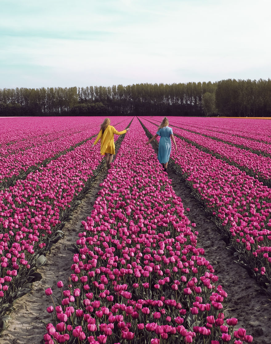We Captured The Incredible Transformation Of The Netherlands When All 7 Million Tulips Bloom At Once We Captured The Incredible Transformation Of The Netherlands When All 7 Million Tulips Bloom At Once