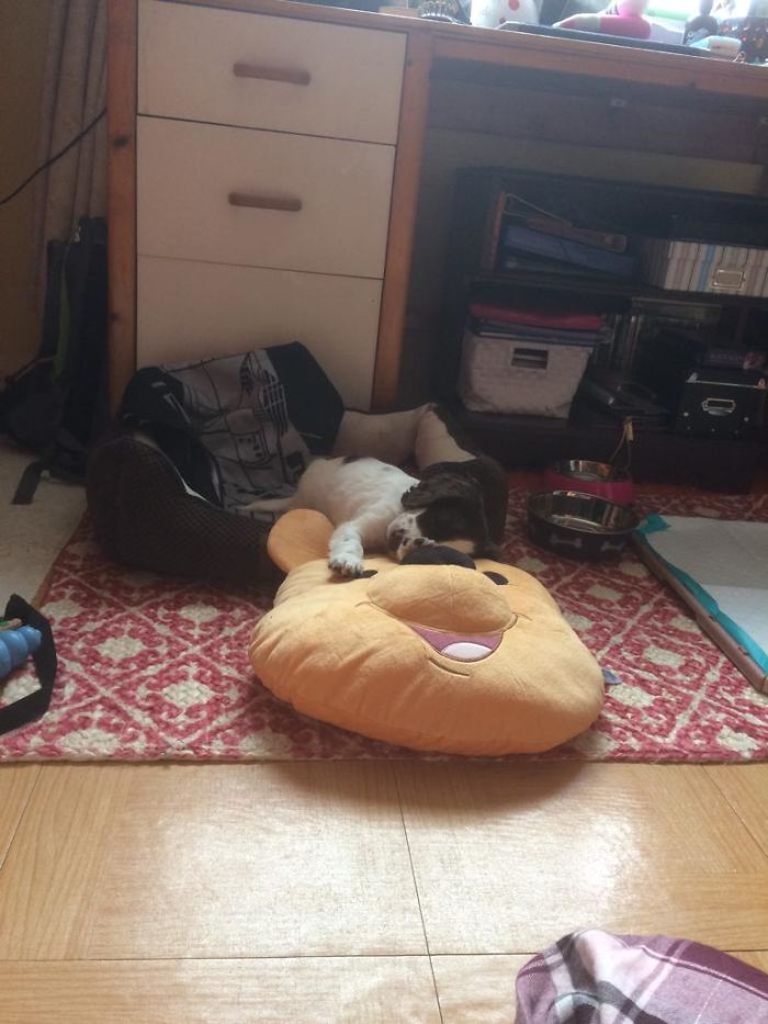 Tired After Peeing All Day