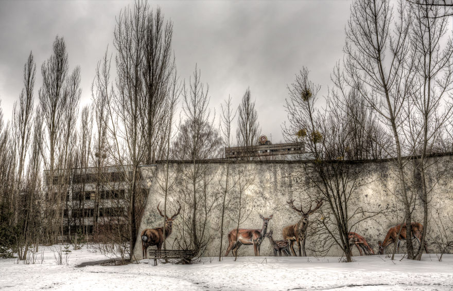 I Went To Chernobyl And Pripyat, 32 Years After The Nuclear Power Plant Disaster Took Place