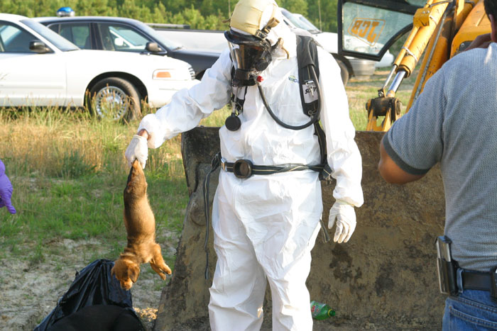 anti-peta-hate-rant-dear-tumb1r-28