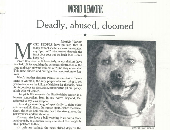 anti-peta-hate-rant-dear-tumb1r-33