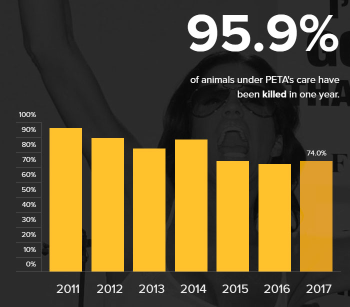 anti-peta-hate-rant-dear-tumb1r-34