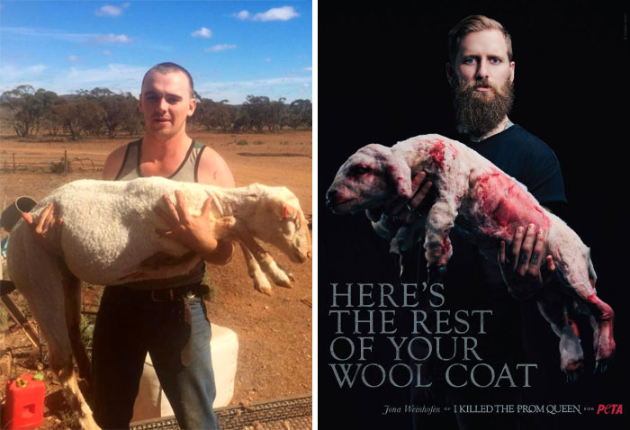 anti-peta-hate-rant-dear-tumb1r-36