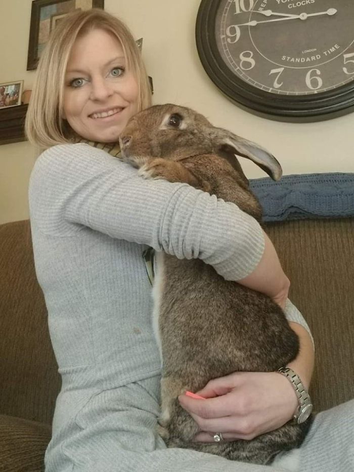 Therapy Rabbits - The Next Generation