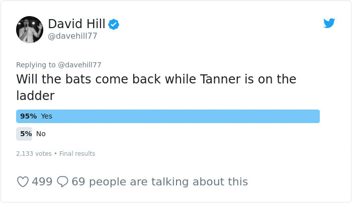 Guy Pays $800 To Get 40+ Bats Out Of His Attic, Doesn't Expect Contractors To Do This