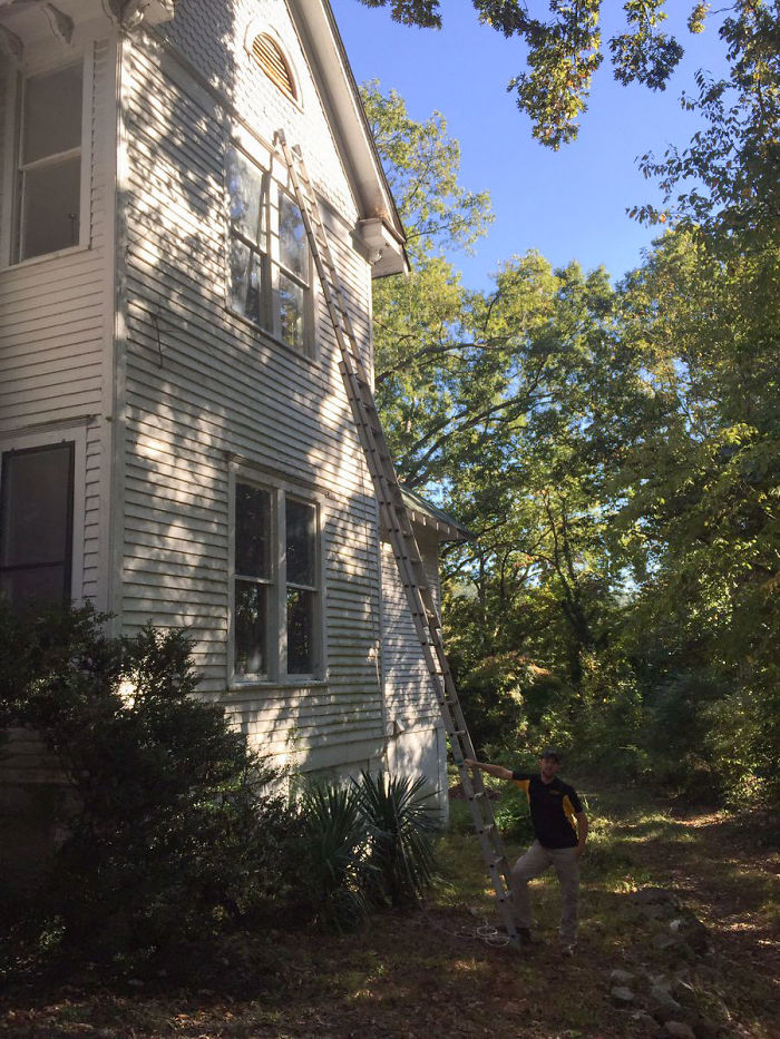 Guy Pays $800 To Get 40+ Bats Out Of His Attic, Doesn't Expect Contractors To Do This Guy Pays $800 To Get 40+ Bats Out Of His Attic, Doesn't Expect Contractors To Do This