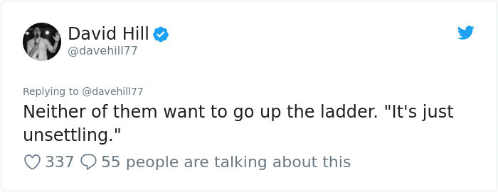 Guy Pays $800 To Get 40+ Bats Out Of His Attic, Doesn't Expect Contractors To Do This Guy Pays $800 To Get 40+ Bats Out Of His Attic, Doesn't Expect Contractors To Do This