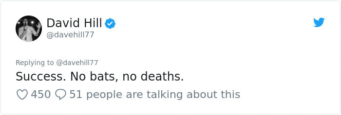 Guy Pays $800 To Get 40+ Bats Out Of His Attic, Doesn't Expect Contractors To Do This Guy Pays $800 To Get 40+ Bats Out Of His Attic, Doesn't Expect Contractors To Do This