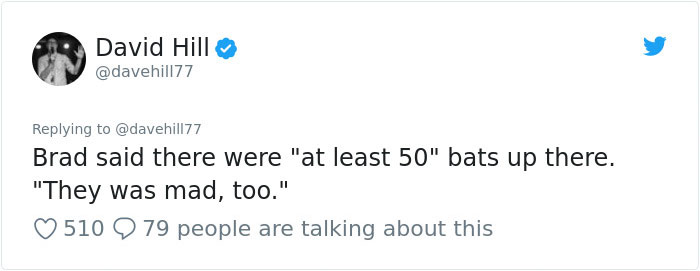 Guy Pays $800 To Get 40+ Bats Out Of His Attic, Doesn't Expect Contractors To Do This Guy Pays $800 To Get 40+ Bats Out Of His Attic, Doesn't Expect Contractors To Do This
