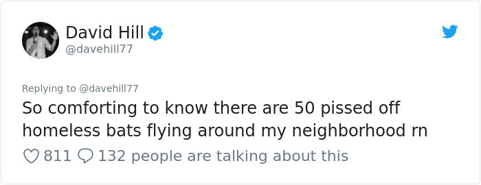 Guy Pays $800 To Get 40+ Bats Out Of His Attic, Doesn't Expect Contractors To Do This Guy Pays $800 To Get 40+ Bats Out Of His Attic, Doesn't Expect Contractors To Do This