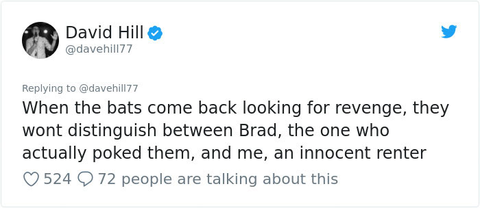 Guy Pays $800 To Get 40+ Bats Out Of His Attic, Doesn't Expect Contractors To Do This Guy Pays $800 To Get 40+ Bats Out Of His Attic, Doesn't Expect Contractors To Do This