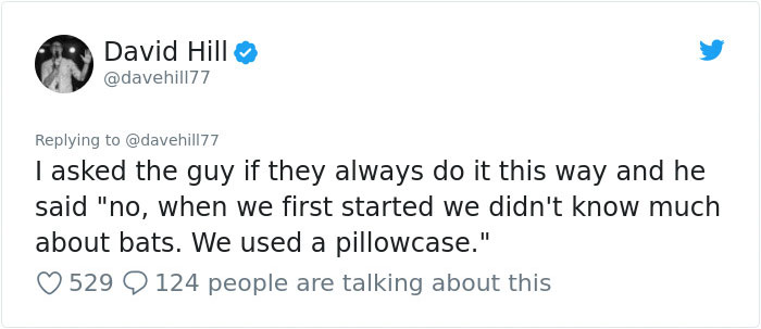 Guy Pays $800 To Get 40+ Bats Out Of His Attic, Doesn't Expect Contractors To Do This