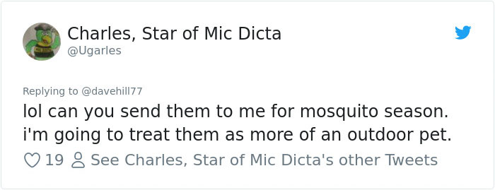 Guy Pays $800 To Get 40+ Bats Out Of His Attic, Doesn't Expect Contractors To Do This Guy Pays $800 To Get 40+ Bats Out Of His Attic, Doesn't Expect Contractors To Do This