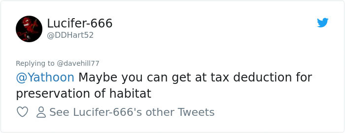 Guy Pays $800 To Get 40+ Bats Out Of His Attic, Doesn't Expect Contractors To Do This Guy Pays $800 To Get 40+ Bats Out Of His Attic, Doesn't Expect Contractors To Do This