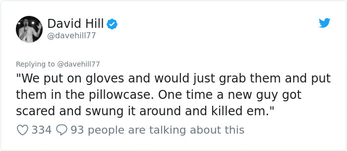 Guy Pays $800 To Get 40+ Bats Out Of His Attic, Doesn't Expect Contractors To Do This