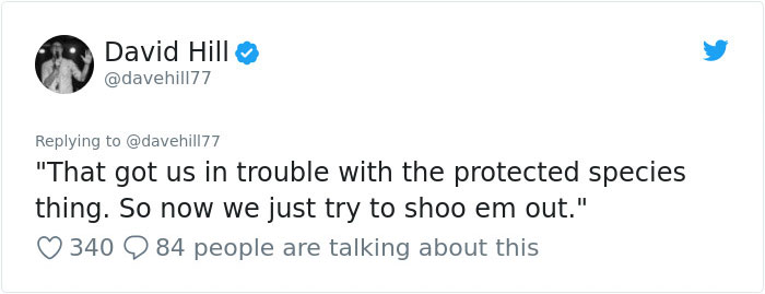 Guy Pays $800 To Get 40+ Bats Out Of His Attic, Doesn't Expect Contractors To Do This