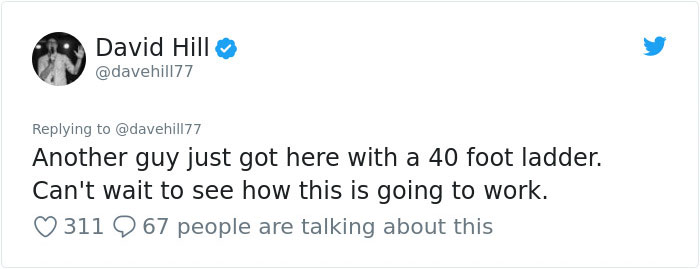 Guy Pays $800 To Get 40+ Bats Out Of His Attic, Doesn't Expect Contractors To Do This Guy Pays $800 To Get 40+ Bats Out Of His Attic, Doesn't Expect Contractors To Do This