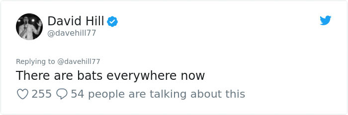 Guy Pays $800 To Get 40+ Bats Out Of His Attic, Doesn't Expect Contractors To Do This