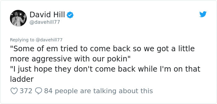 Guy Pays $800 To Get 40+ Bats Out Of His Attic, Doesn't Expect Contractors To Do This Guy Pays $800 To Get 40+ Bats Out Of His Attic, Doesn't Expect Contractors To Do This