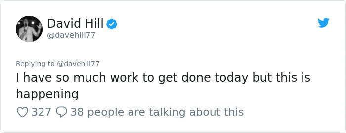 Guy Pays $800 To Get 40+ Bats Out Of His Attic, Doesn't Expect Contractors To Do This Guy Pays $800 To Get 40+ Bats Out Of His Attic, Doesn't Expect Contractors To Do This