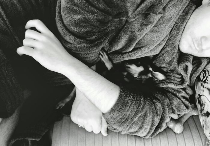 Lil Min Pin Was Afraid To Sleep Alone