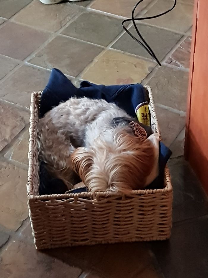 Byron Needs His Sleep