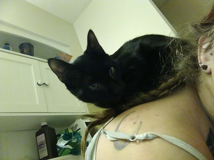 Oh, I'm Sorry, Were You Doing Something?