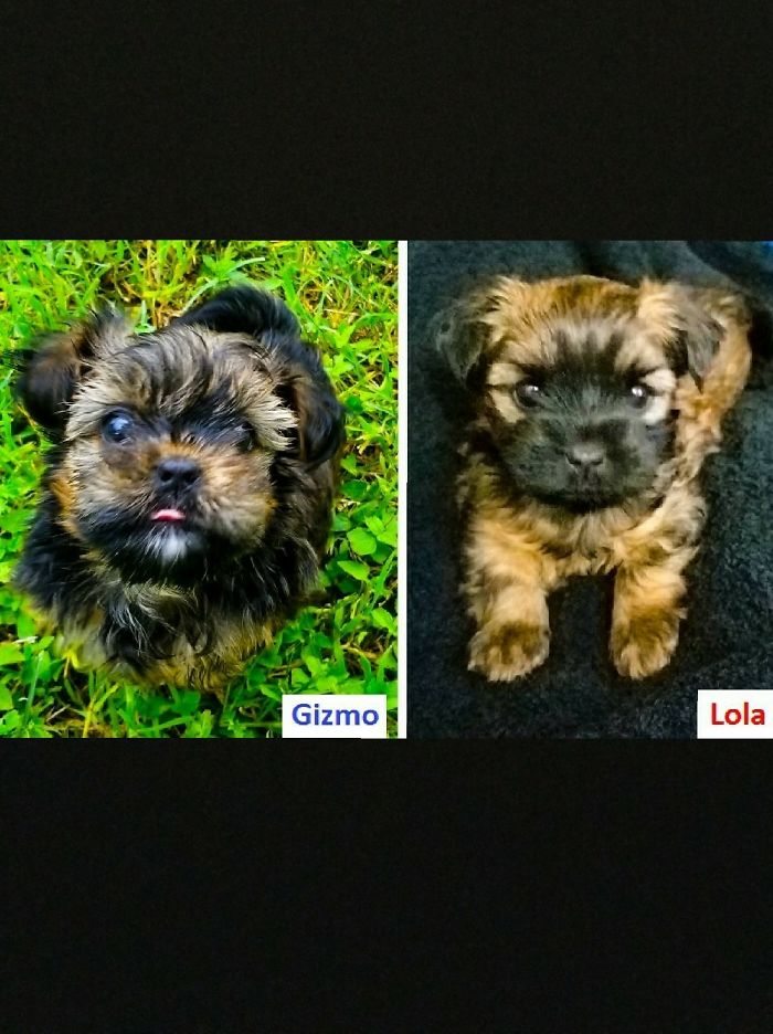 You Can Really See Each Of Their Personalities