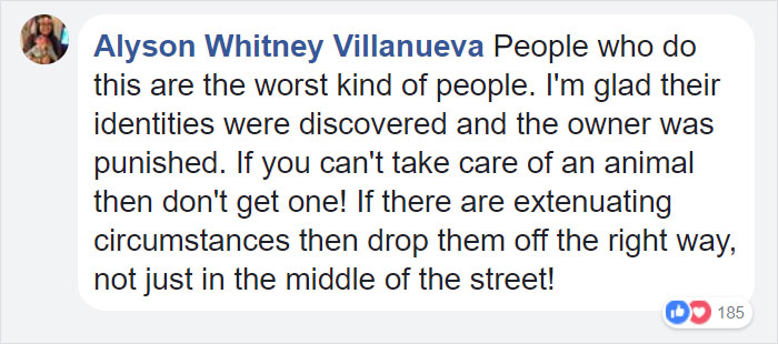 confronted-woman-abandoned-dogs-texas-32 confronted-woman-abandoned-dogs-texas-32
