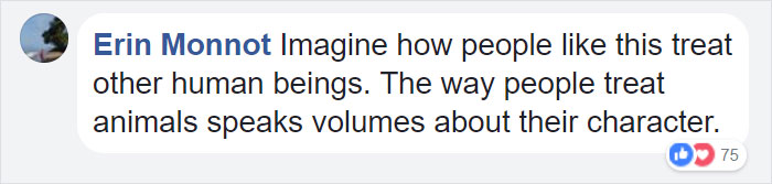 confronted-woman-abandoned-dogs-texas-36 confronted-woman-abandoned-dogs-texas-36